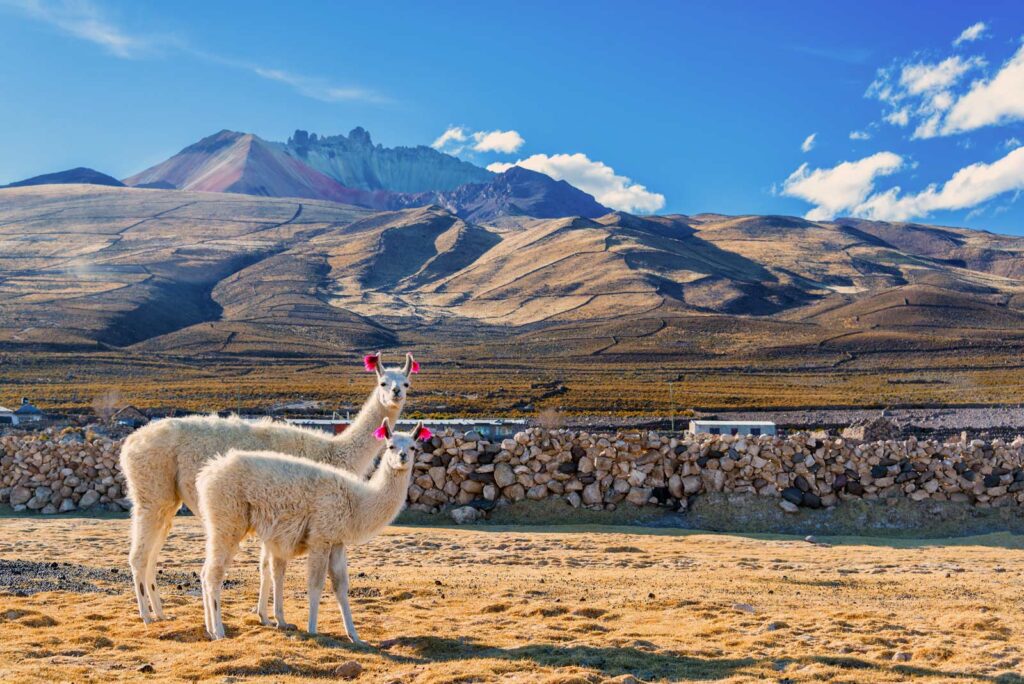 20 Best Things To Do In Bolivia In 2023